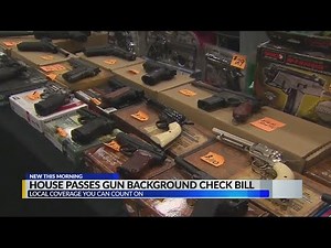 House of Representatives tries to pass gun background check bill