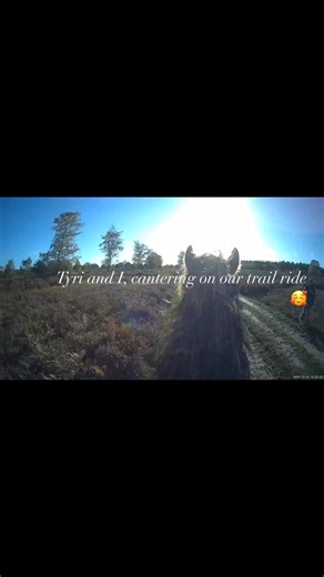 27K views · 469 reactions | Tyri and I cantering on our trail ride. He is a very good boy, as I rely more on voice encouragement since I have issues with dodgy knees - I am weak on my leg aids to encourage canter! I love this horse so much 殺 My next ride I shall try attaching the camera to my hat so you get my view, and slightly less of his glorious mane if I’m leaning forward in canter  | The Duckit List | Facebook