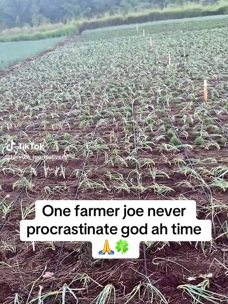 farmer_joe_delivery_service on TikTok