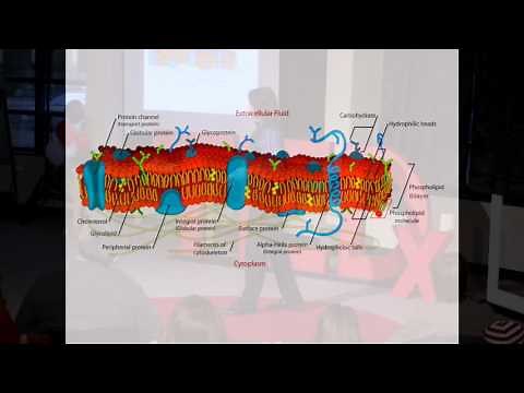 Kinesthetic learning: Utilizing our 5 senses in Higher Education | Ben Deuling | TEDxLSSU