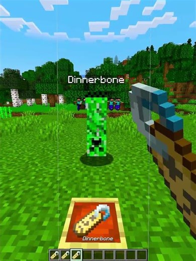 Minecraft INSANE Nametags💀 (Montagem Rugada) #minecraft #shorts