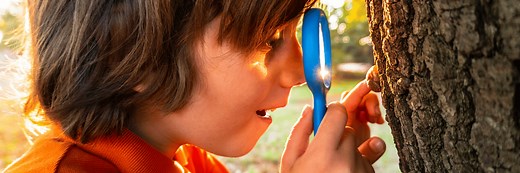 Elementary Homeschool Science Curriculum