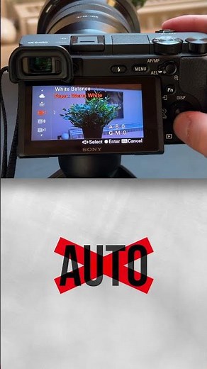 The Best Camera Settings For Sports! 🏉