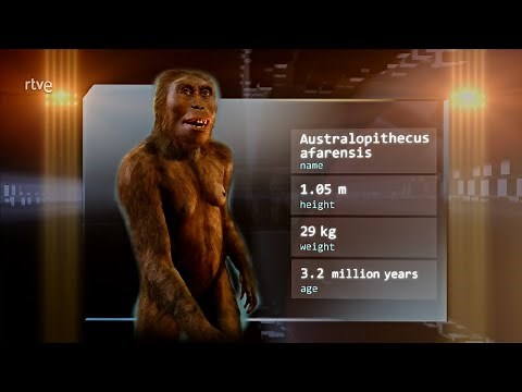 Nueva Versión de la Evolución Humana | Documental