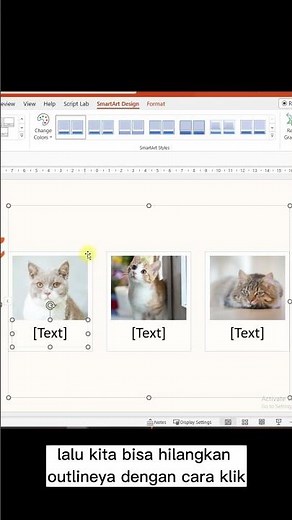 How to Quickly Tidy Up Images in PowerPoint (PPT)