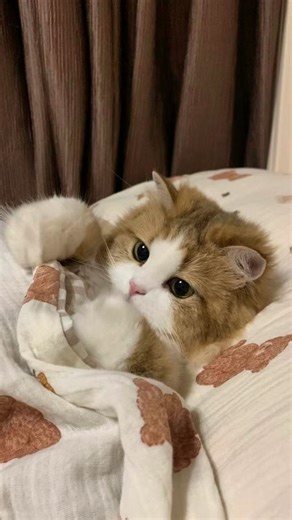 Intern | memes on Instagram: "The video features the icy confrontation between Lewis Strauss and Kitty Oppenheimer from the movie Oppenheimer. Strauss wears a look of cold, calculated resentment as he puts on his glasses, ignoring the social pleasantries, while the tension in the room hits absolute zero. This is the ultimate visual for a manager on a silent warpath. The “anonymous” feedback has clearly bruised their ego, and now they are walking through the office analyzing every employee’s face