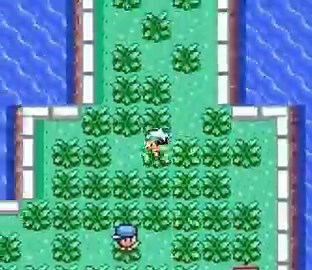 pov: you picked mudkip in pokémon emerald