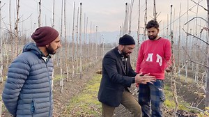 39K views · 601 reactions | Management of SARD or Sick Soil Syndrome | The Garden Guardians | Facebook