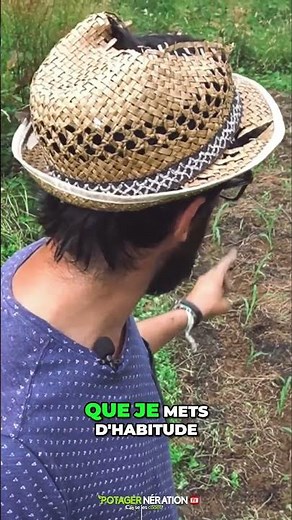 🌽 Corn in the Sun 🌞 Easy to Grow and Stunning View!