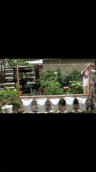 98K views · 1.3K reactions | Hydroponic Tomatoes, Lettuce, Kale... Now What? ❤ #towergarden #diy #hydroponics #gardening | Keep on Growin' | Facebook