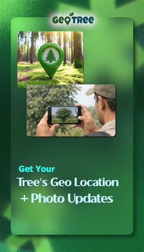 Celebrate birthdays the green way 🌱🎉One tree, one life, one better tomorrow 🌍#birthday