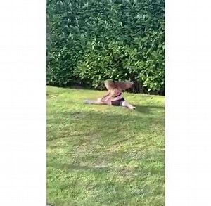 #WATCH local school of dance, Chelis, take part in the ‘toilet roll challenge’. Leanne, mum of one of the girls, said: “Children are being affected from this awful time as they have been separated from the one thing that is everything to them. “Some children use dance to escape from things in life, they have made the most amazing friendships and being without them is hard. “They put this video together as the dance teachers themselves have had to give up what they love and do best to show how mu