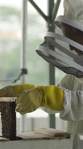 Truth bee told, these fuzzy insects aren’t as terrifying as they seem...