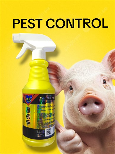 Effective Pest Control Strategies for Piggery and Poultry