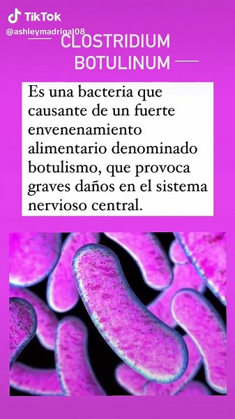 Clostridium botulinum‼️‼️#bacteria #nutrition