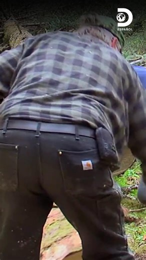 150K views · 1.8K reactions | Descubre el proceso de talar un árbol para obtener madera en situaciones extremas Disfruta el contenido de Discovery en MAX. Suscríbete ahora: https://bit.ly/MAX-DiscoveryEsp | Discovery en Español | Facebook
