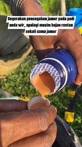 334K views · 506 reactions | Semprot pada umur 10-25 & 35 hst, saya pakek fillia 15-20 ml per tangki, semoga bermamfaat petani indonesia, maaf saya juga pemula dalam bertani #fyp #konten #petani | Irwandi Andy | Facebook