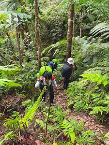 Trail of Mt. Talinis via Apolong to Pangilakan Trail! 📍Mt. Talinis, Negros Oriental YT: youtube.com/c/JharmCabatas IG: instagram.com/Lakwatserongengineer DISCLAIMER: No copyright infringement intended. I do not own the audio in this video. They belong to their rightful owners. #NegrosOriental | Lakwatserong Engineer