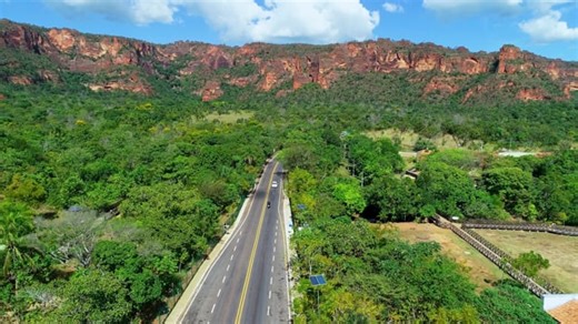 Cowboy, Country, Man, Cartoon