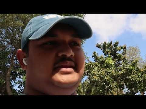 New Exhaust (Muffler Delete) | 2021 Acura TLX A-Spec (2.0L Turbo Inline-4)