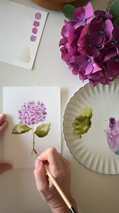 There's a gorgeous hydrangea bush in front of our house with the prettiest purply-pink hydrangeas blooming right now that I've been excited to paint. 🔉 Turn up the volume for a few quick tips! #elstudio #watercolor #hydrangea #paintablenotecard | Emily Lex Studio