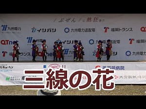 保育園児のダンス！！エイサー！！BEGIN「三線の花」！！豊前サイクルフェスティバル！！