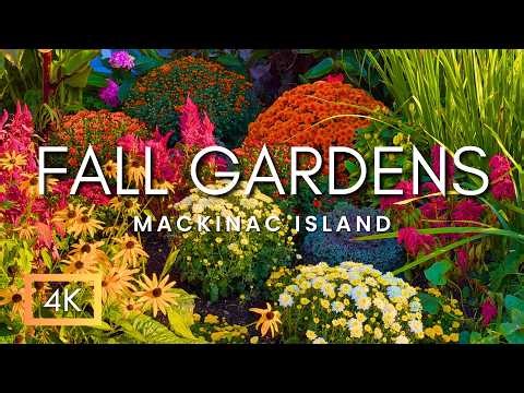 Amazing Fall Color & Fall Garden Tour On Mackinac Island, Michigan | Autumn Leaves & Flowers of 2025