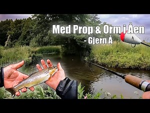 Prop og Orm i Åen - Gjern Å
