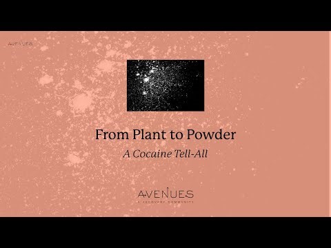 How Cocaine is Made: From Plant to Powder I Avenues Recovery