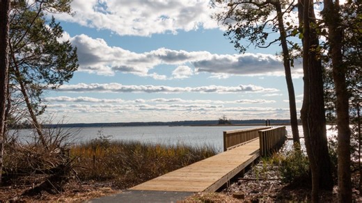 Virginia State Parks to host Earth Week events across Hampton Roads and beyond
