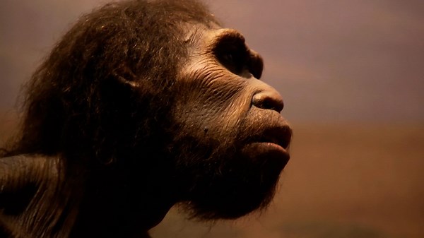 The UnXplained Season 4 Episode 10 Mysteries of the Missing Link