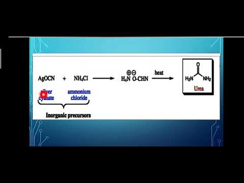 Laboratory synthesis of urea from Ammonium cyanate.