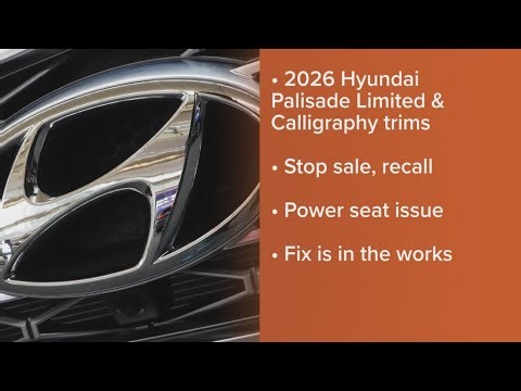 Hyundai recalls 68,000 Palisade SUVs over second, third row power seat safety