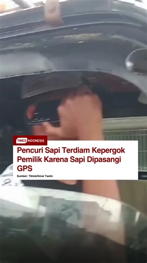 Kesal karena sapi miliknya kerap hilang saat pulang ke kandang, seorang warga di Kalimantan Selatan memilih cara tak biasa untuk mengungkap pencurian. Ia memasang alat pelacak GPS di leher sapi-sapinya, langkah yang akhirnya membuahkan hasil saat salah satu ternak kembali raib pada Minggu (4/1/2026). Berbeda dari kejadian sebelumnya, kali ini pergerakan sapi bisa dipantau langsung lewat sinyal GPS. Pemilik mendapati sapinya bergerak menjauh dari kandang dengan pola tidak wajar, bahkan diketahui 