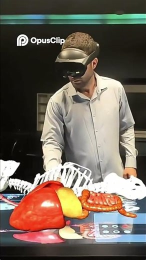 Projeto de Mesa de Transmissão Órgãos e Pedagogia