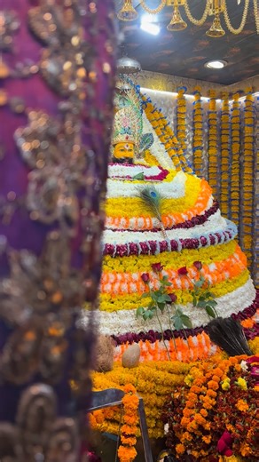 Khatu Shyam Ji 🧿 on Instagram: "🚩“जय श्री श्याम जी” 🚩 बाबा श्याम की कृपा आप सब पर सदा बनी रहे…🙇‍♂️ . . . . . Follow करें: @KhatuShyam_Official ✨ . . . . अगर आप भी हैं श्याम बाबा के सच्चे भक्त, तो इस Reel को जरूर — LIKE करें | SHARE करें | FOLLOW करें l COMMENT में लिखें ‘जय श्री श्याम’ | . . Our Hashtag :- #khatushyam_official #realrajbairwa #KhatuShyamJi #ShyamBaba #KhatuShyamDarshan #ShyamBhakt #JaiShreeShyam #BhaktiReels #DevotionalReels #ShyamPremi #ShyamBhajan #KhatuShyamStatus #ShyamKi