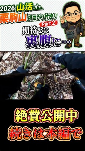 【2026山活】秋田県栗駒山で根曲がり竹採り！歩き回ったのにまさかの大苦戦…
