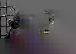 3.5K views · 213 reactions | Pickpocket (1959) Director: Robert Bresson | Le Cinéma World | Facebook