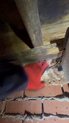 Today’s fun! | Integrity Pro Inspections LLC