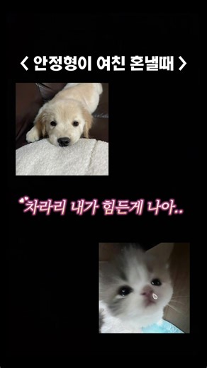 감자일기 24: 사랑을 위한 24시간의 수면관리