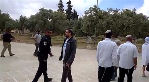 HATIKVAH ON THE TEMPLE MOUNT Jews celebrating Yom Atzma'ut - Independence Day - on the Temple Mount today broke into song, singing Hatikvah - the national anthem of Israel. A man held up a flag of Israel which was immediately confiscated by the police. 950 Jews ascended the Temple Mount today, as it opened to Jews for the first time in two weeks, following Muslim rioting. | The Temple Institute