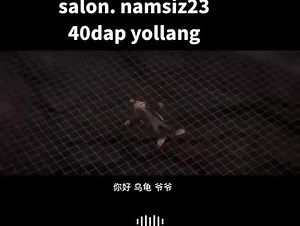 🤣🤣🤣😜😜😜