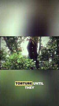 Tree defenders were pepper-sprayed by cops #activism #anticapitalism #environmentalism