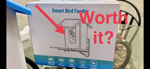 Watch Everything you NEED TO KNOW about this bird feeder. on Amazon Live