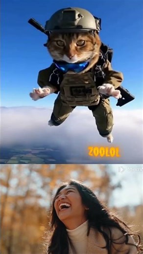 Cat Army Boot Camp 🪖 Feline Soldiers Train for Purr-fect 🤣 | Viral Cat Training 2025 #shorts #cute