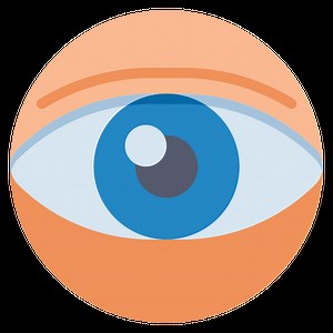 The Autonomic Nervous System