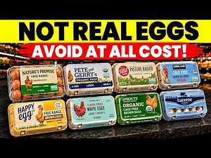 We Tested Eggs From Costco Walmart Kroger Aldi & 8 More Grocery Stores Most Failed Our Quality Test