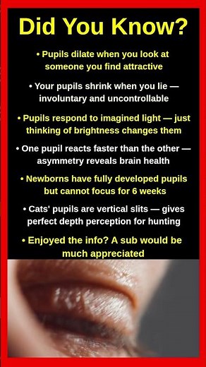 Things Your Pupils Do That You Never Noticed 👁️🔬