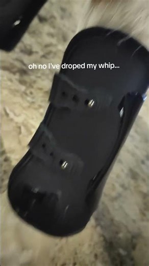 anatomic tendon boots @EquestrianStockholmOfficial #equestrian #reitsport #pferd