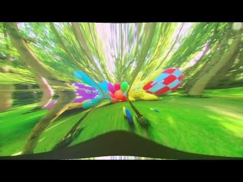 1080p P Hello Haahoos 1 o’clock